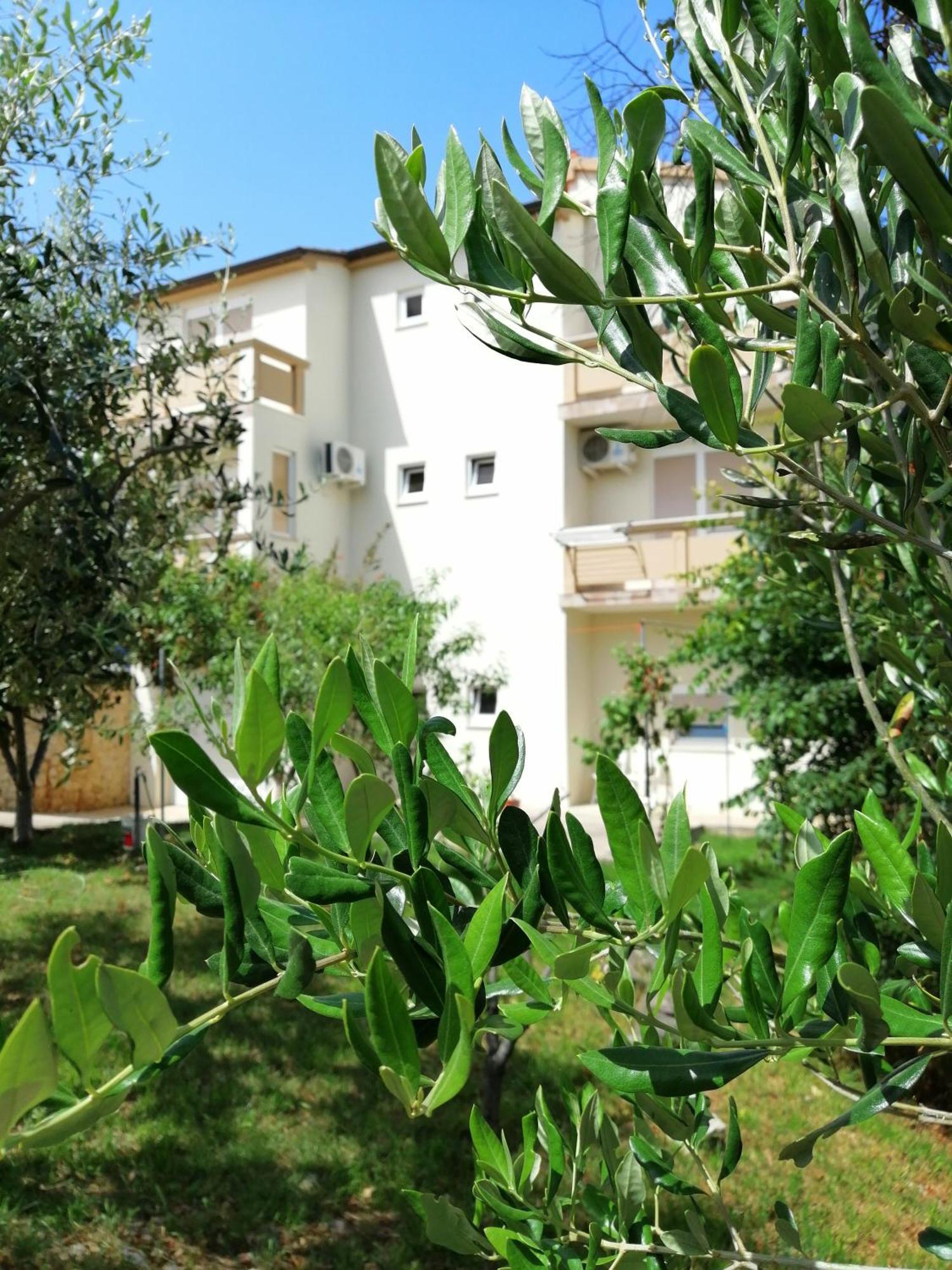Apartments Monika Nin Buitenkant foto